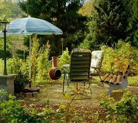 In Neustadt Harz Mit Grill *